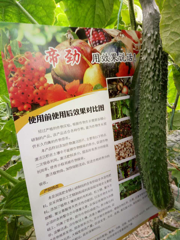 帝勁活動